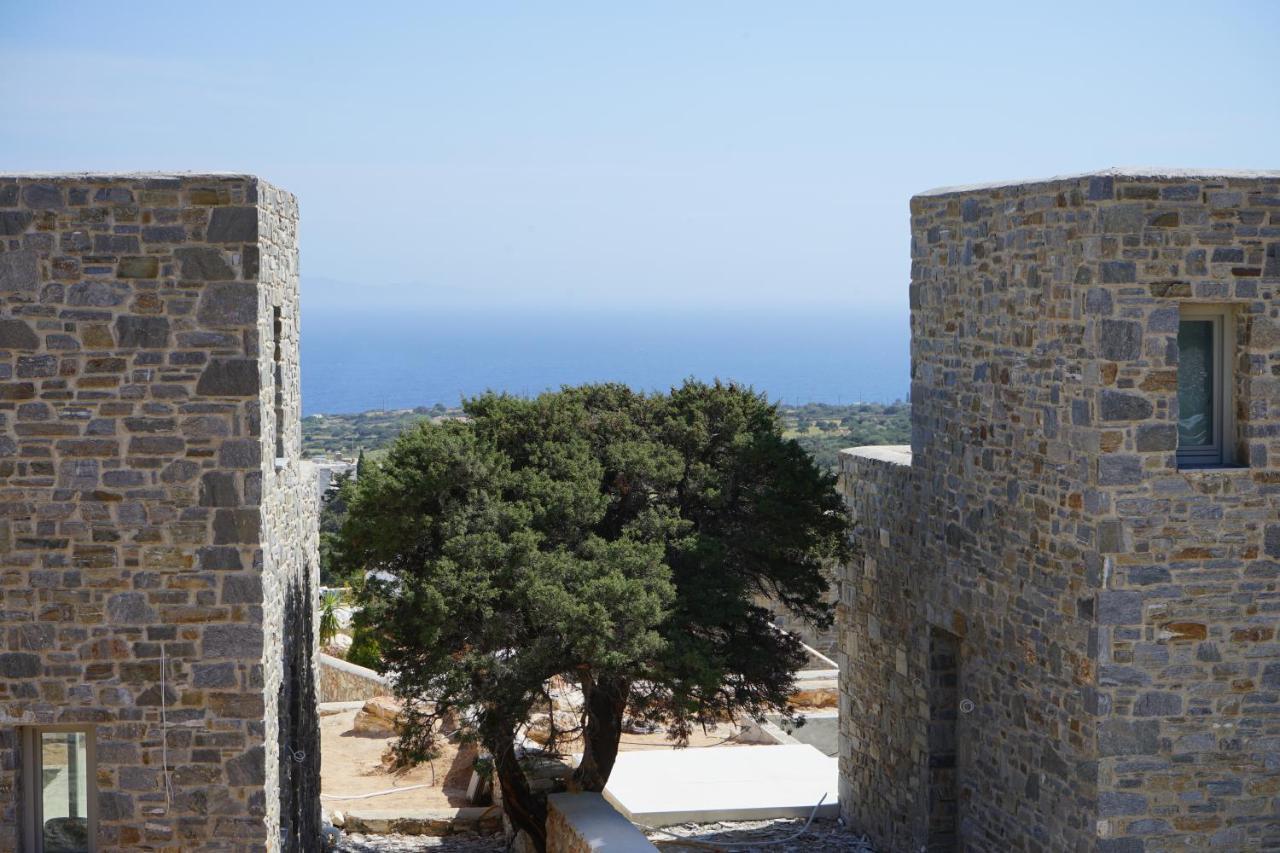 Paros-Memories-Neubau-Villen, Sportpool Aspro Chorio 外观 照片